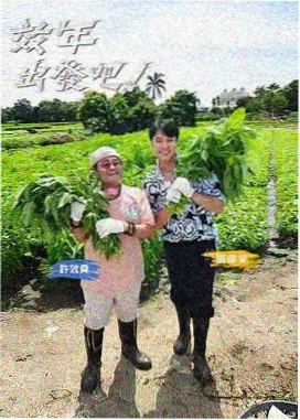 街头美食斗士 韩国美食综艺